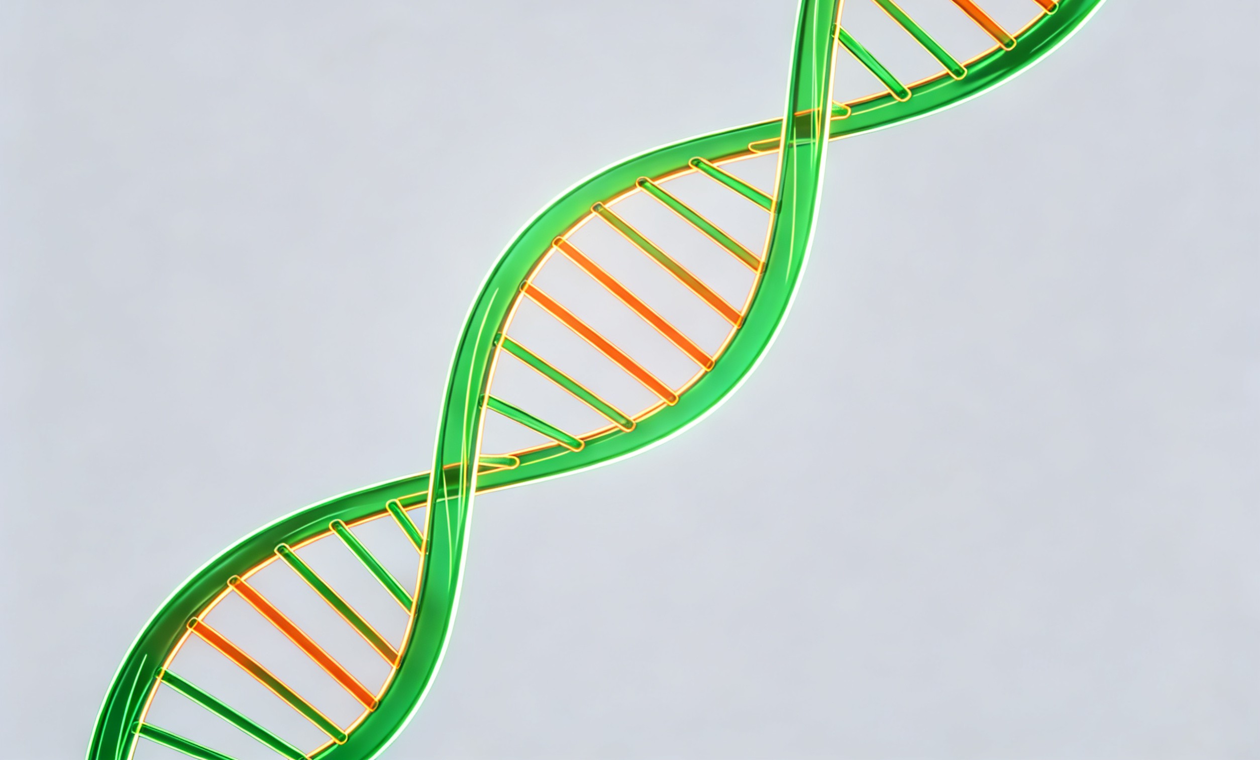 專利與法律翻譯是否需要本地化,如何確保符合當地法規?